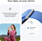 Google Fitbit Air - Image 6