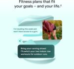 Google Fitbit Air - Image 4