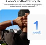 Google Fitbit Air - Image 10