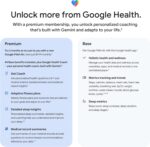 Google Fitbit Air - Image 7